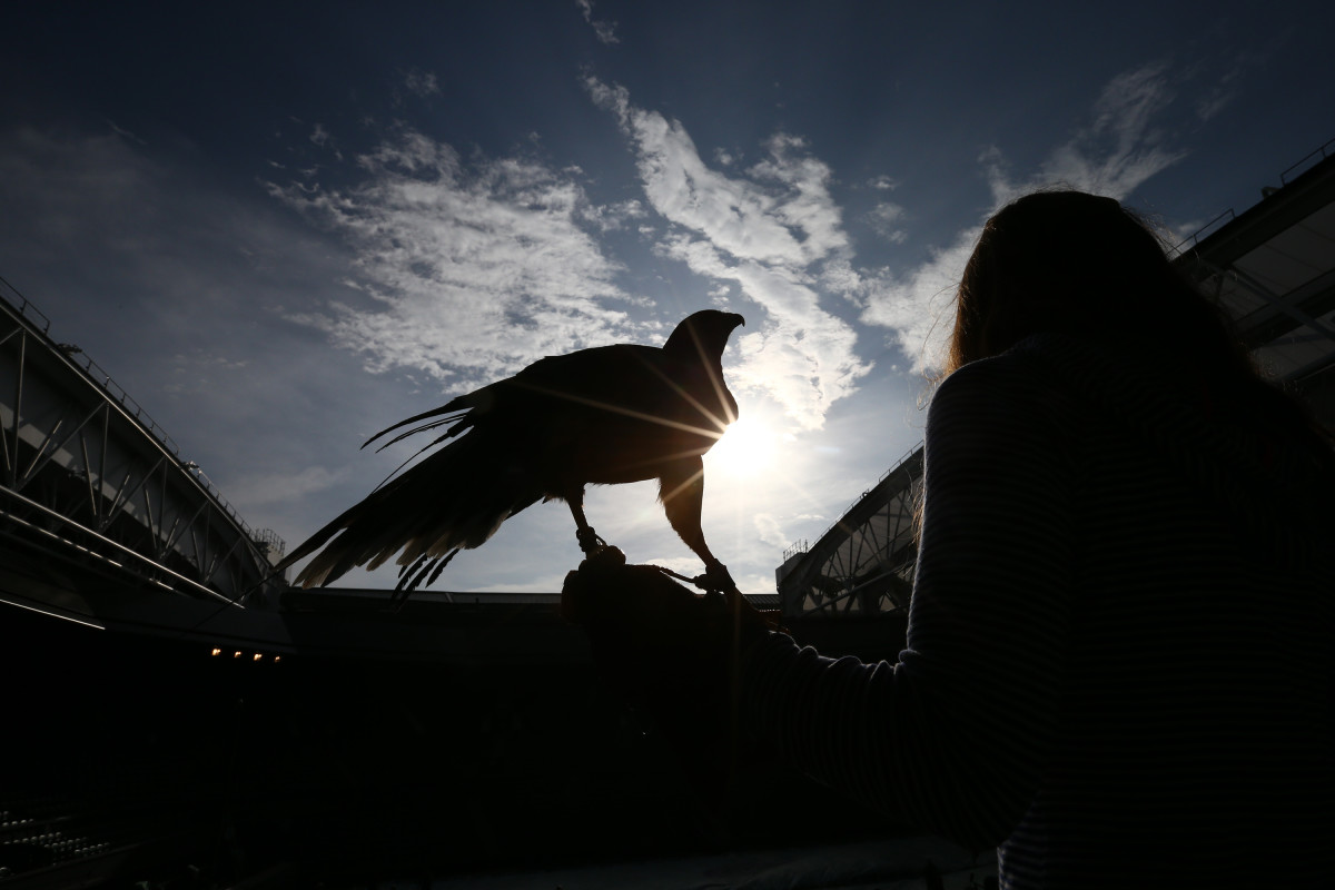 GettyImages-479194320_master.jpg